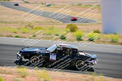 media/May-05-2024-Lucky Dog Racing (Sun) [[8a365fce5b]]/1030am-Turn 3/